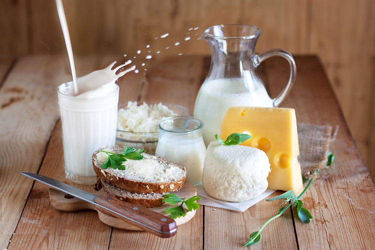 Süt ve Süt Ürünleri